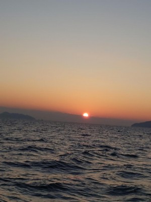20240105_072355.JPG