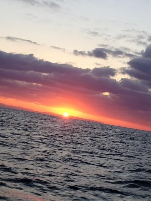 20240108_072003.JPG